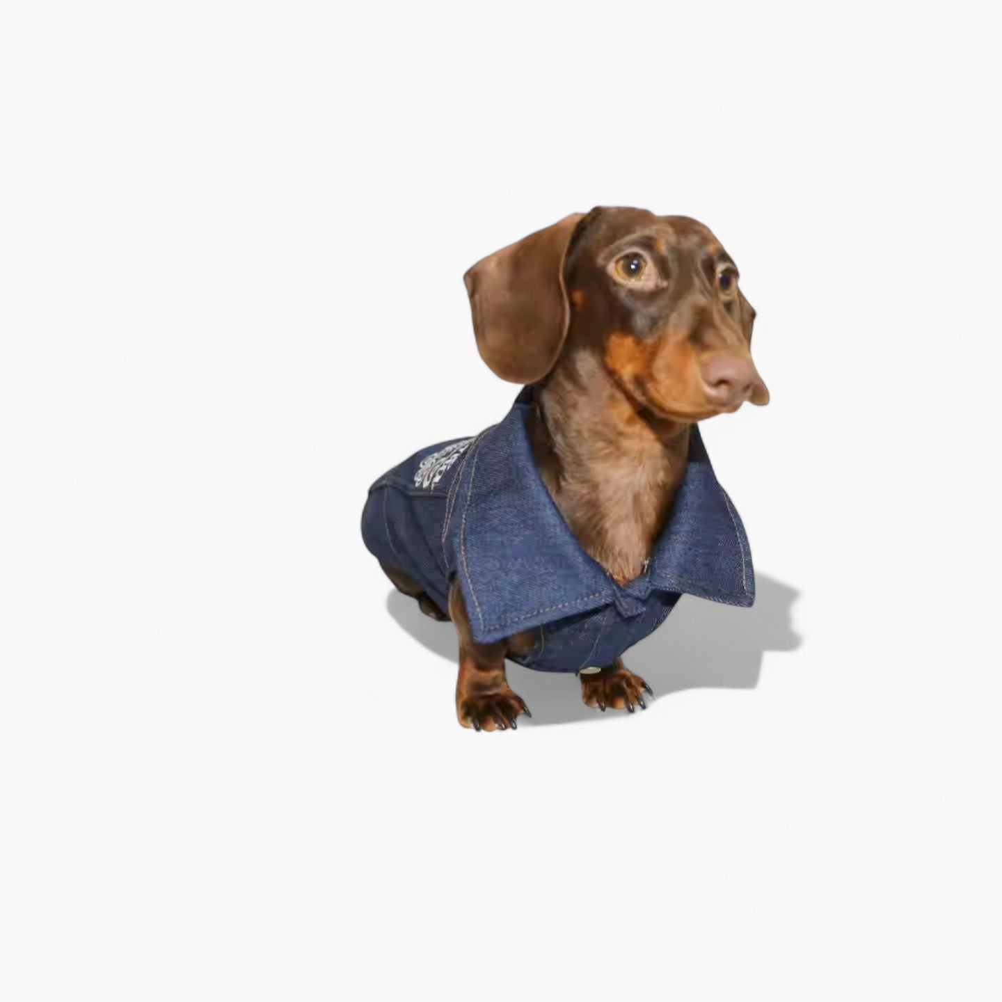 DenimCool-Dachshund-Denim-Vest.jpg