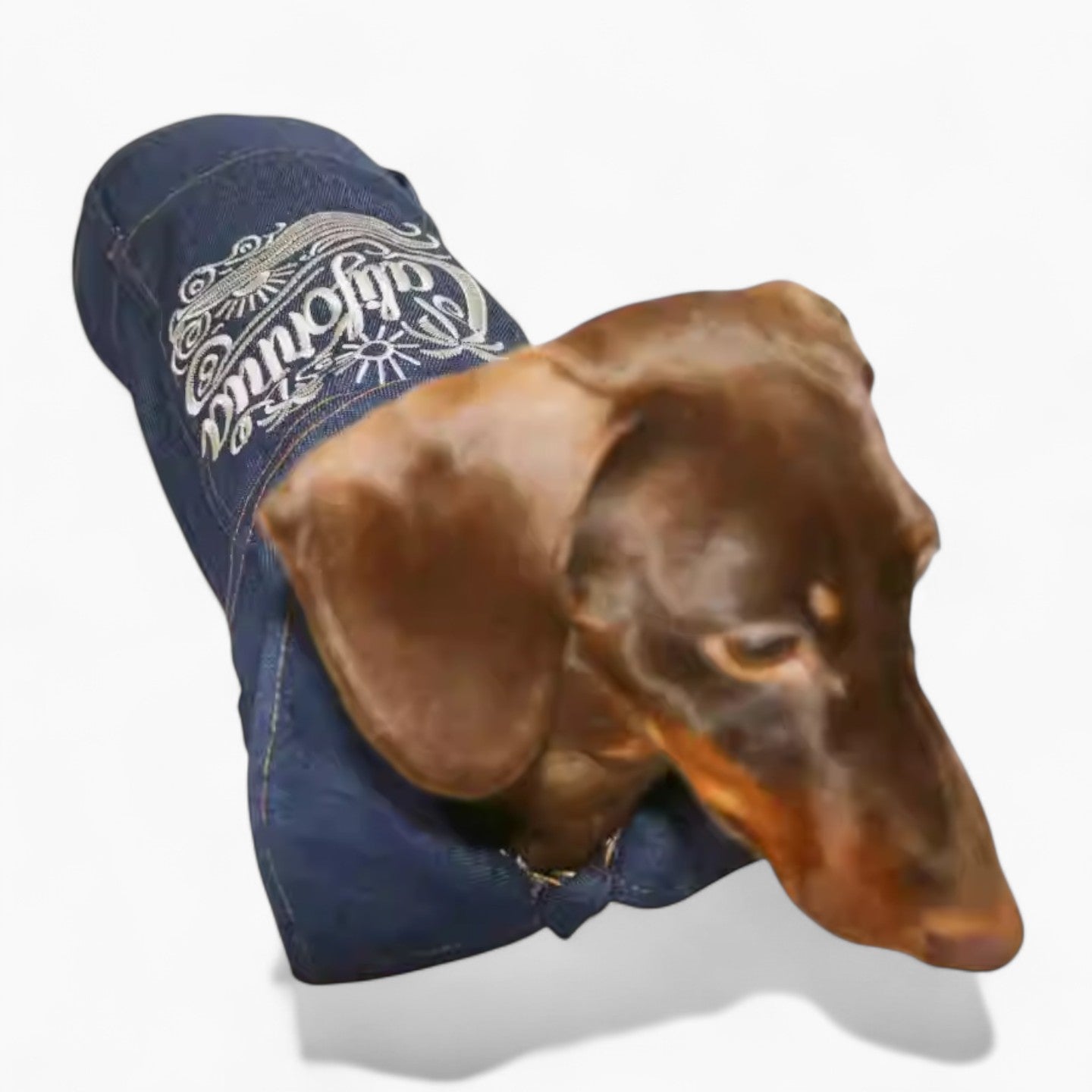 DenimCool-Dachshund-Denim-Vest.jpg