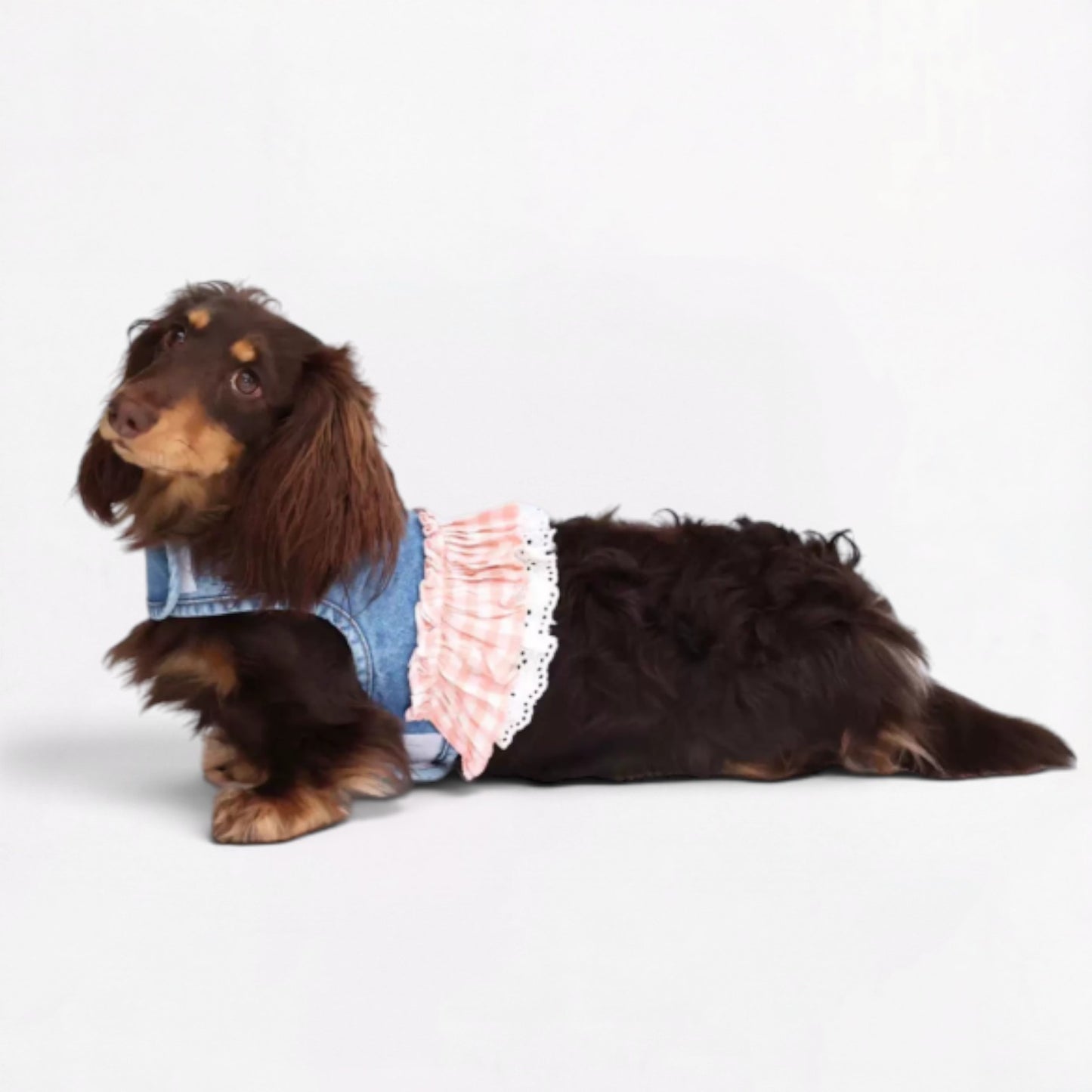 DenimPup-Dachshund-Denim-Lace-Skirt.jpg