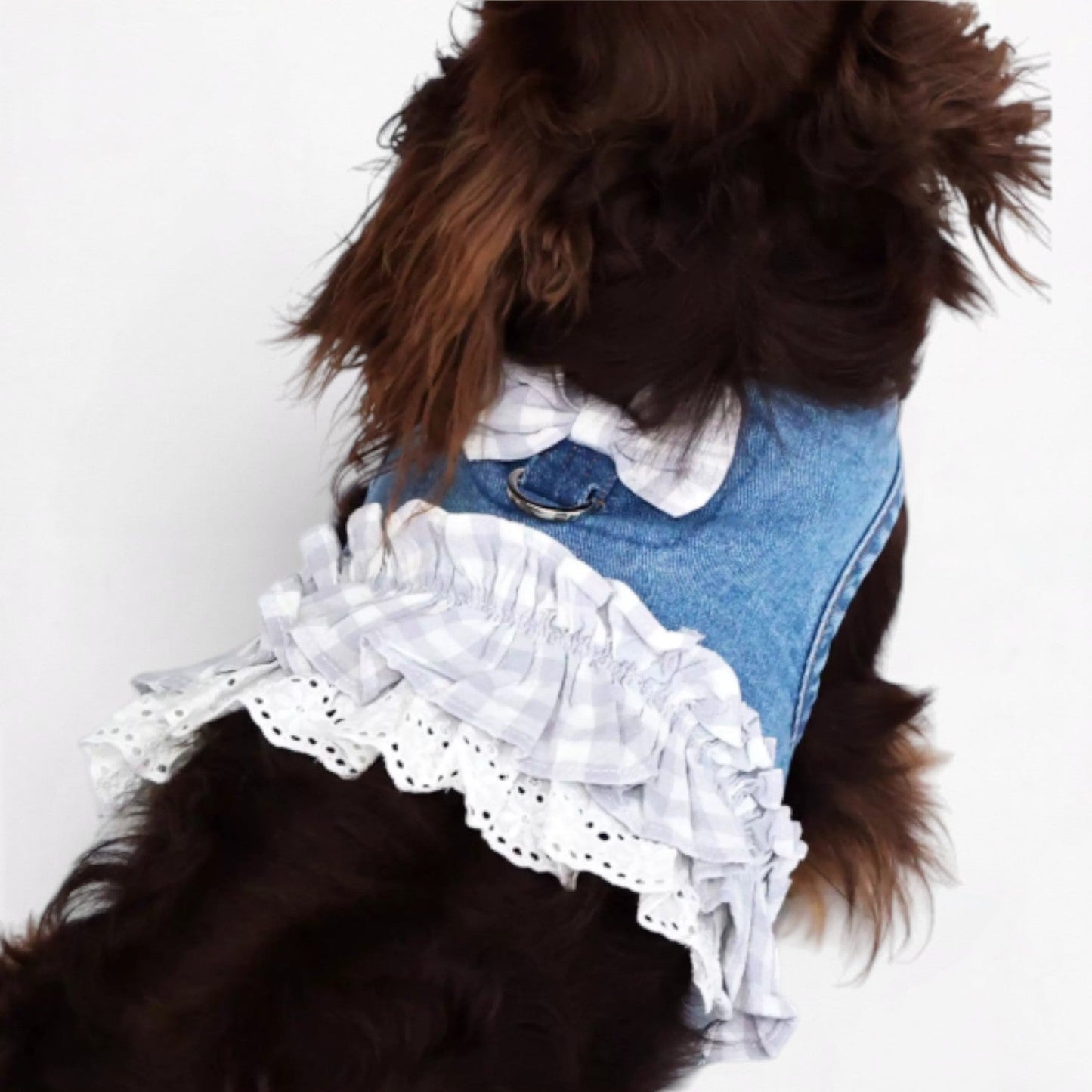 DenimPup-Dachshund-Denim-Lace-Skirt.jpg