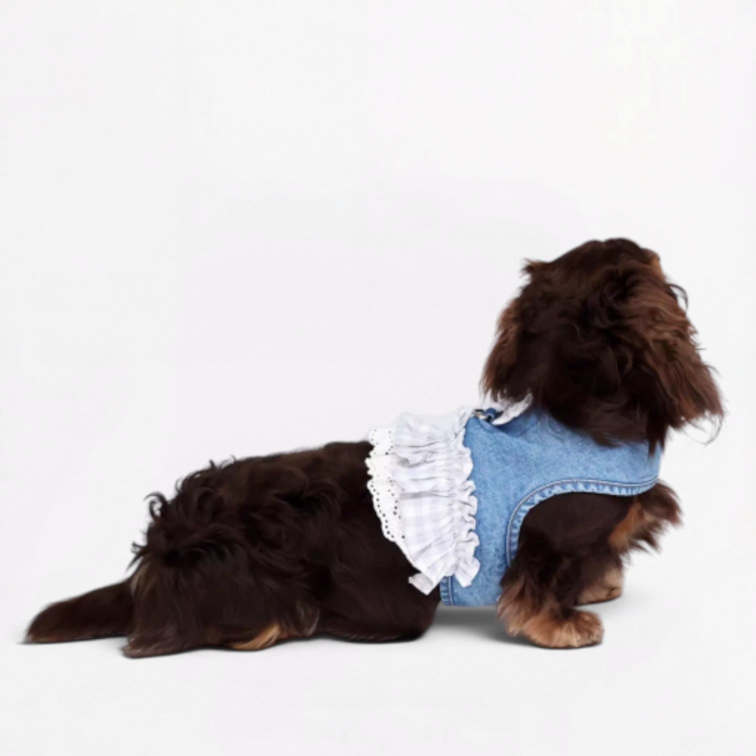 DenimPup-Dachshund-Denim-Lace-Skirt.jpg