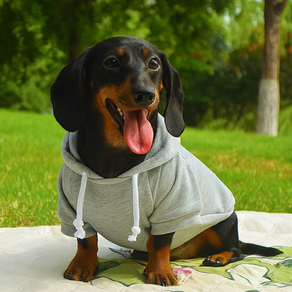 Denimutt-Dachshund-Velvet-Hoodie.jpg