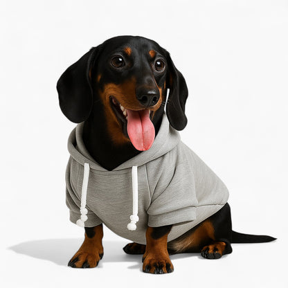 Denimutt-Dachshund-Velvet-Hoodie.jpg