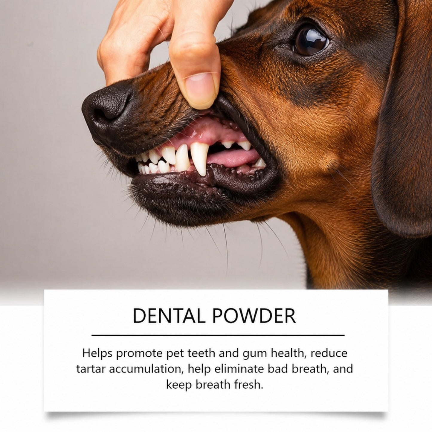 DentiDox-Dachshund-Dental-Powder.jpg