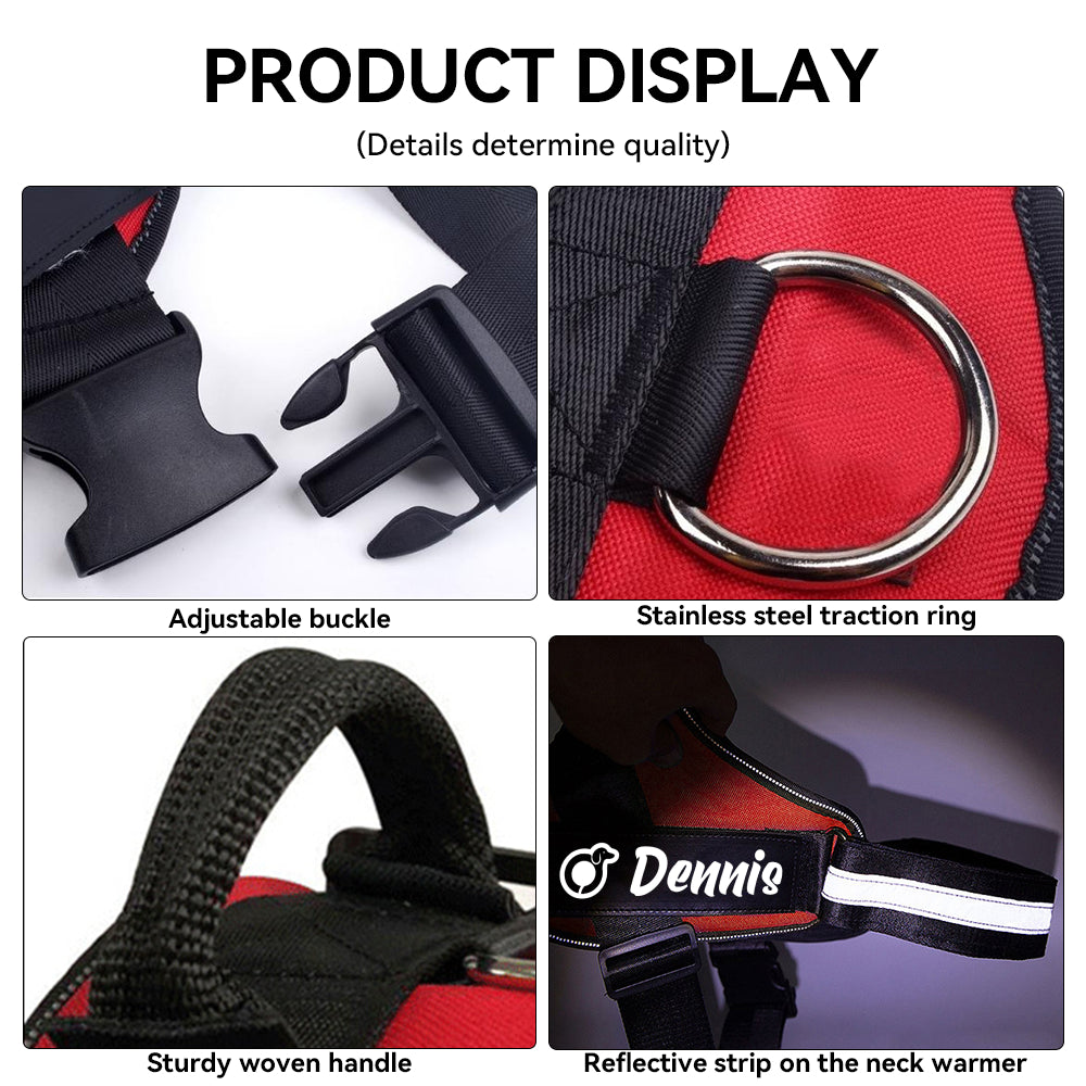 Dodge - Personalized Dachshund Harness