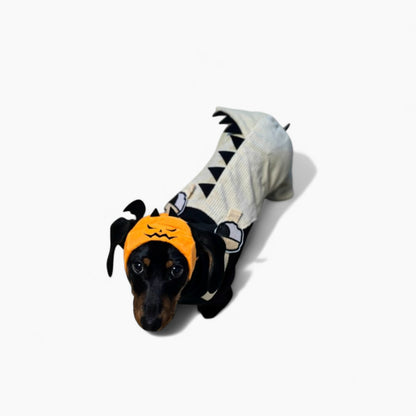 DinoDox-Dachshund-Thin-Dinosaur-Outfit.jpg