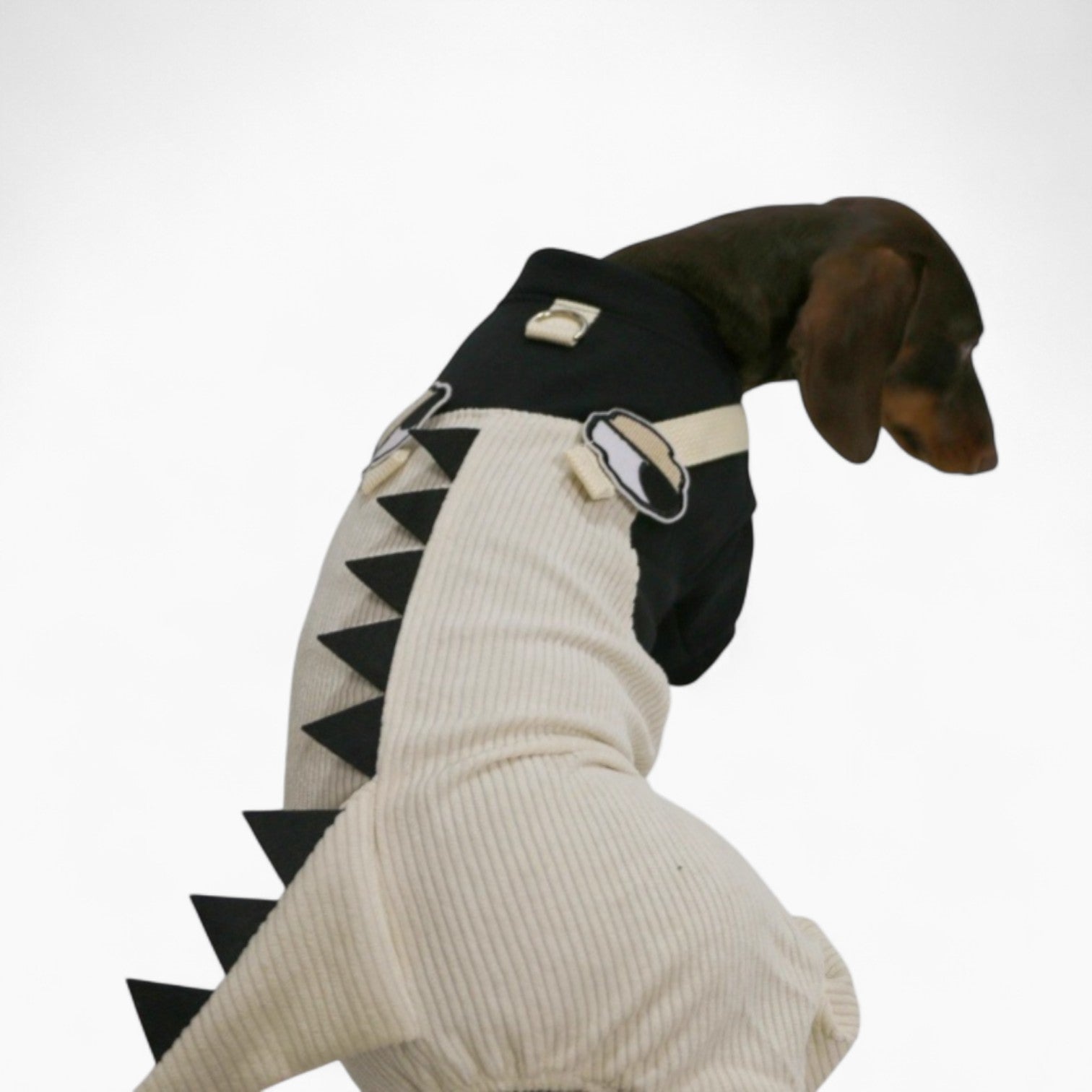 DinoDox-Dachshund-Thin-Dinosaur-Outfit.jpg