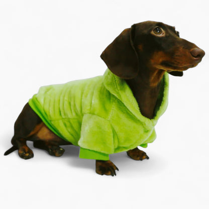 DinoPaw-Dachshund-Dinosaur-Hoodie.jpg