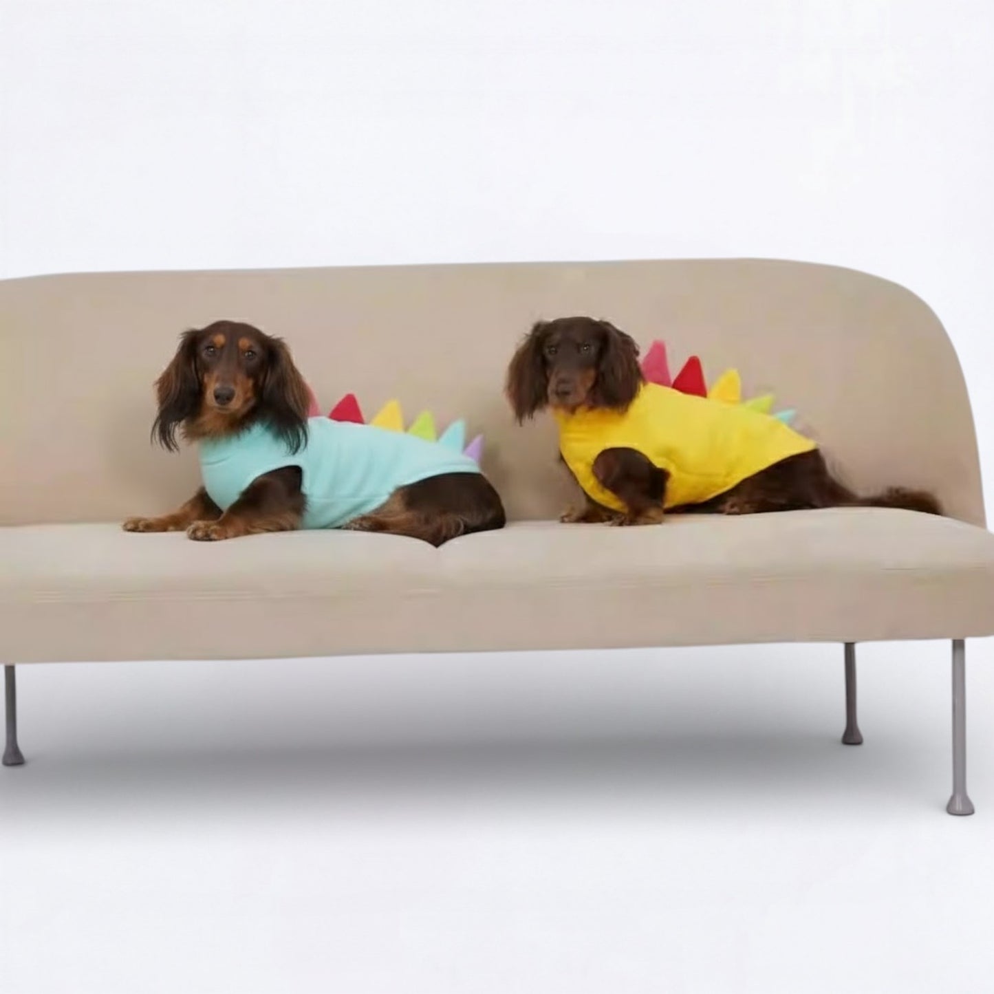 DinoPaws-Dachshund-Dinosaur-Vest.jpg