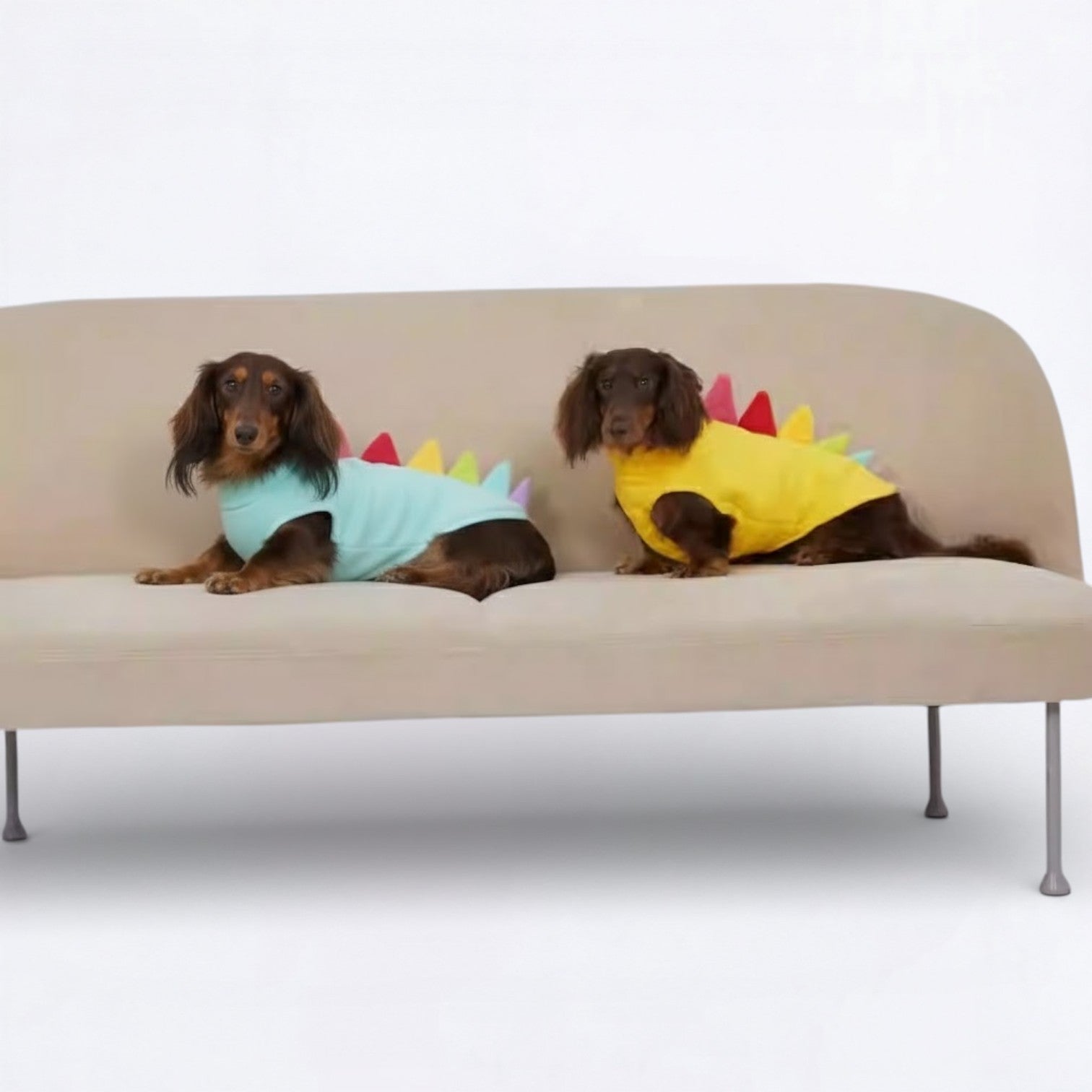 DinoPaws-Dachshund-Dinosaur-Vest.jpg