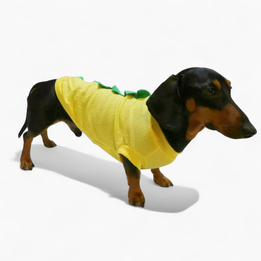 DinoPup-Dachshund-Summer-Vest.jpg