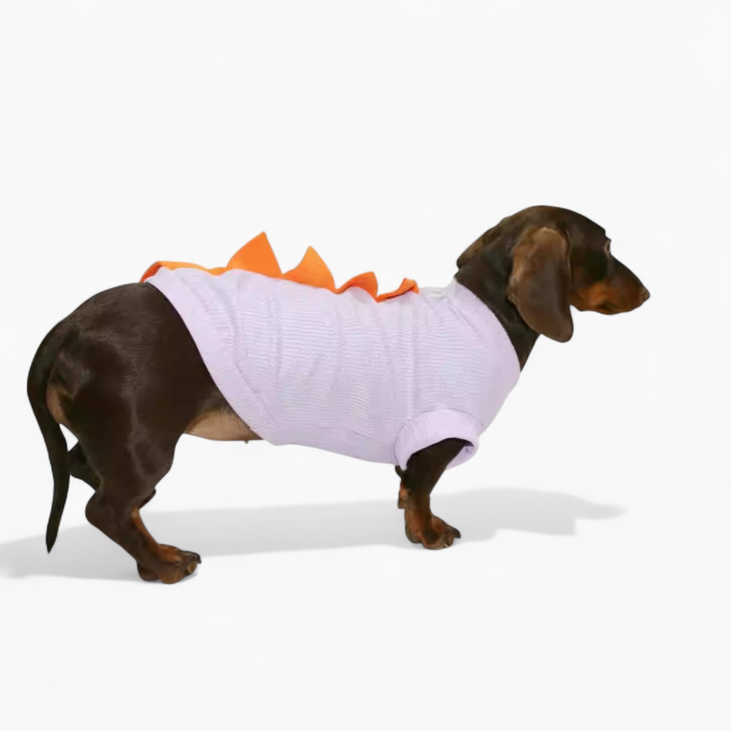 DinoPup-Dachshund-Summer-Vest.jpg