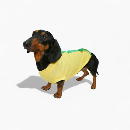 DinoPup-Dachshund-Summer-Vest.jpg