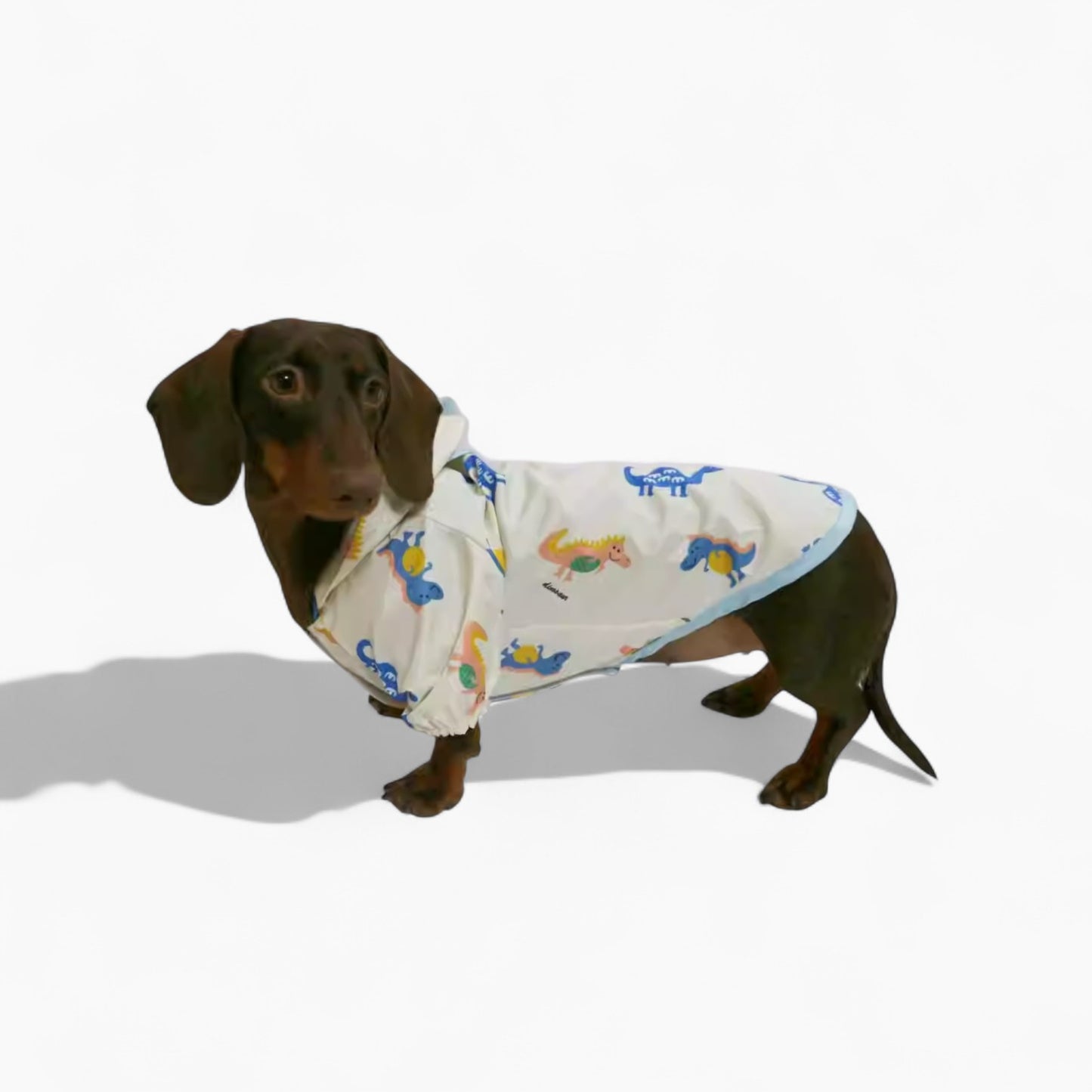 DinoShield-Dachshund-Raincoat.jpg
