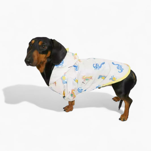 DinoShield-Dachshund-Raincoat.jpg