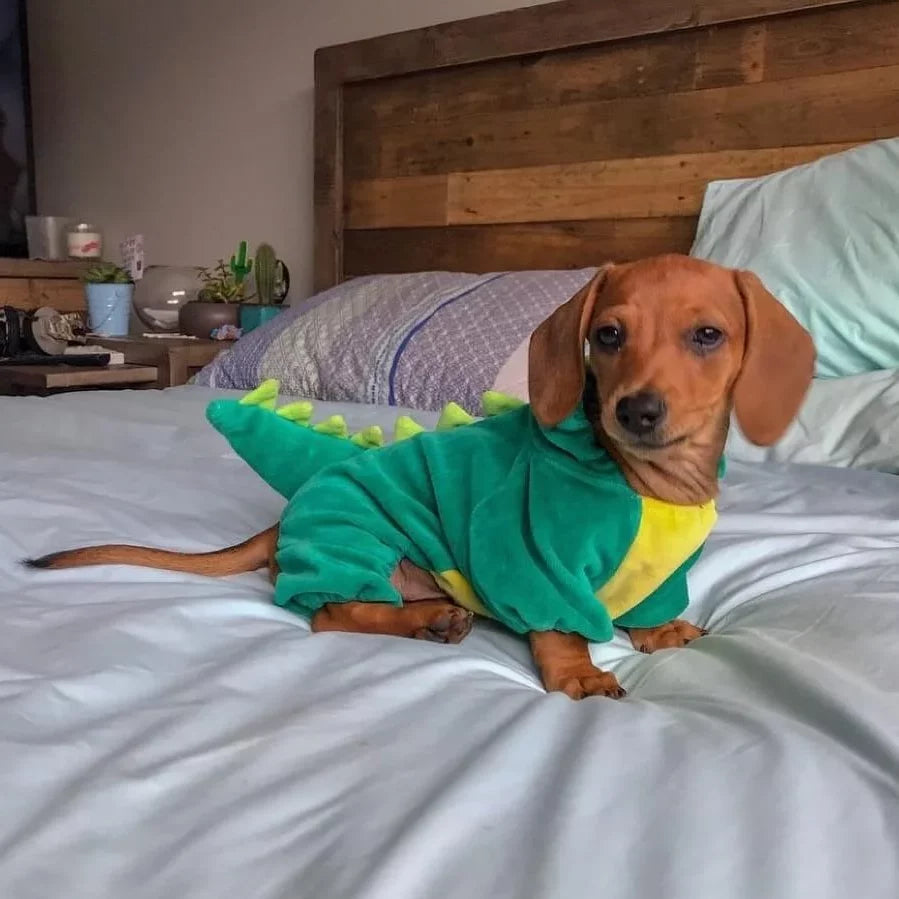 Dinosaur-Style-Dachshund-Costume-doxie.us