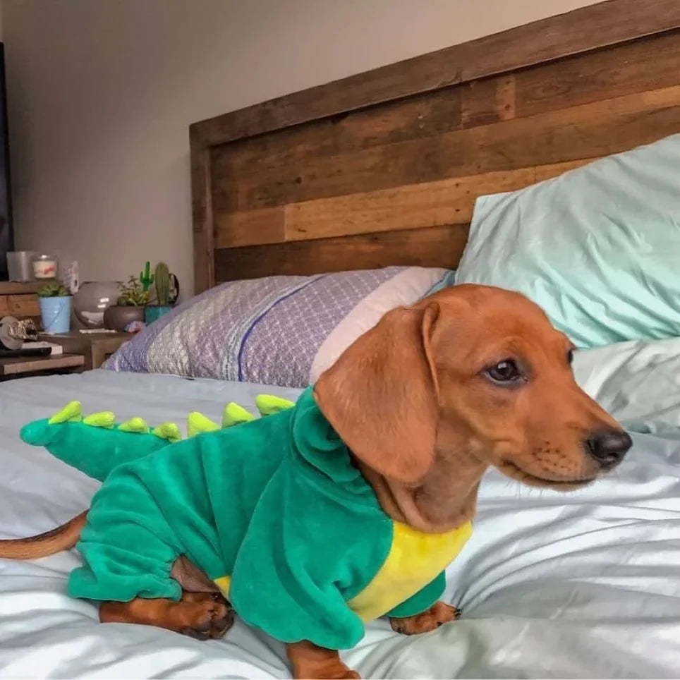 Dinosaur-Style-Dachshund-Costume-doxie.us