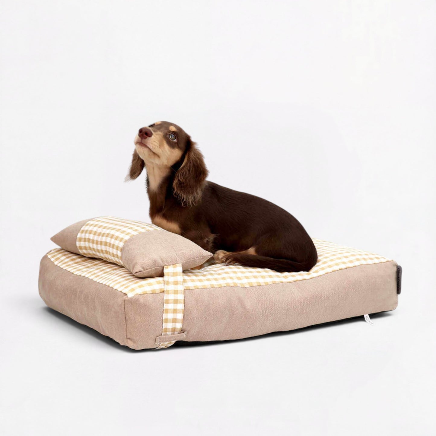 DorMi-Dachshund-Checkered-Mattress.jpg
