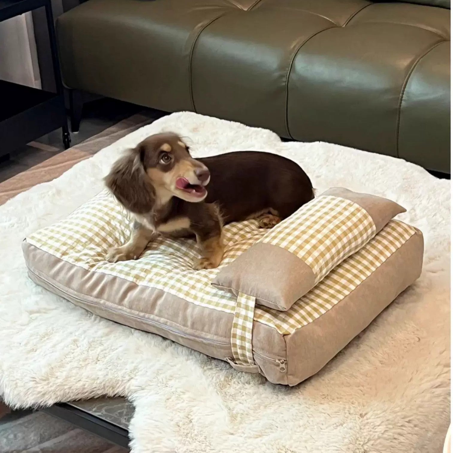 DorMi-Dachshund-Checkered-Mattress.jpg