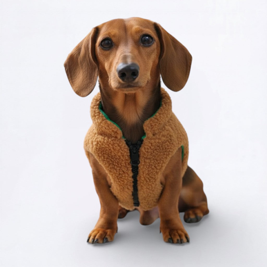 DoxCheck-Dachshund-Checked-Jacket.jpg