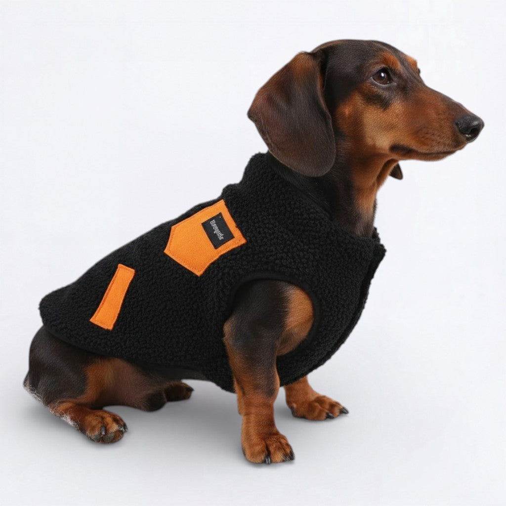 DoxCheck-Dachshund-Checked-Jacket.jpg