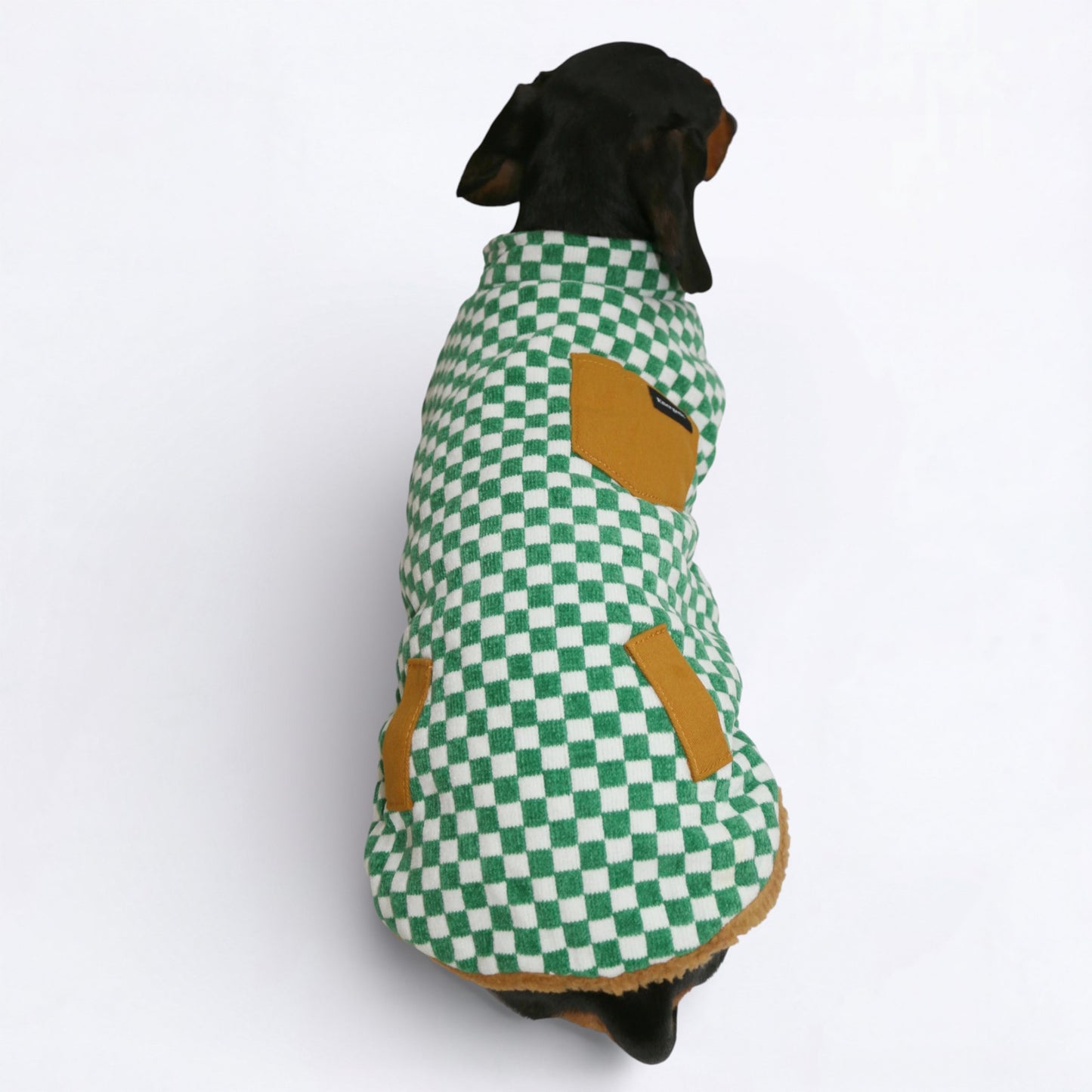DoxCheck-Dachshund-Checked-Jacket.jpg