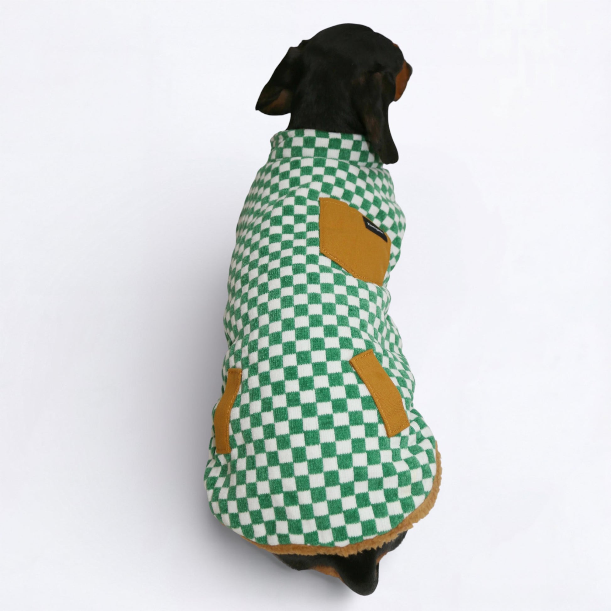 DoxCheck-Dachshund-Checked-Jacket.jpg