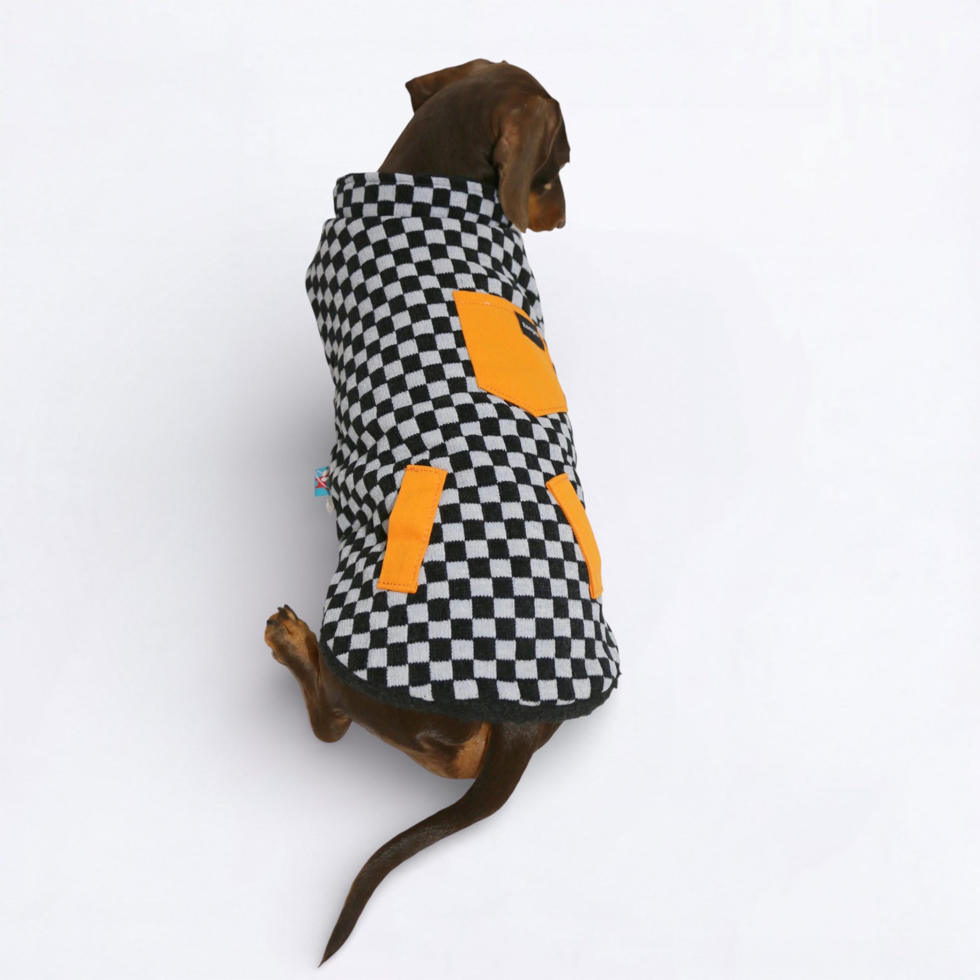 DoxCheck-Dachshund-Checked-Jacket.jpg