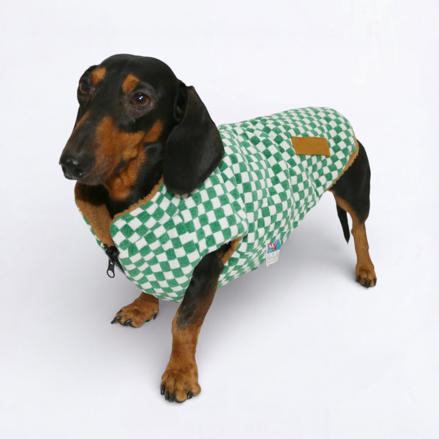 DoxCheck-Dachshund-Checked-Jacket.jpg