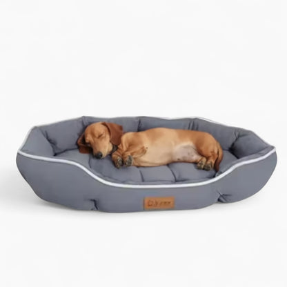 DoxCush-Dachshund-Pillow-Sofa-Bed.jpg