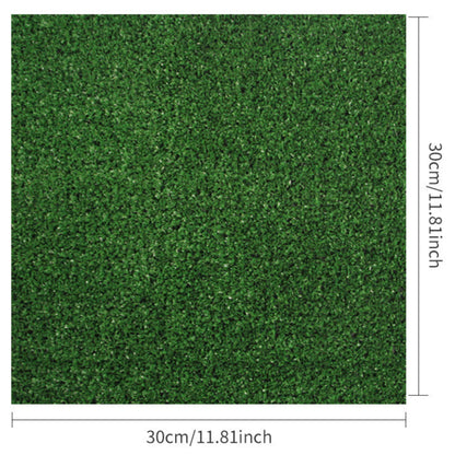 DoxLoo-Dachshund-Potty-Training-Mat.jpg