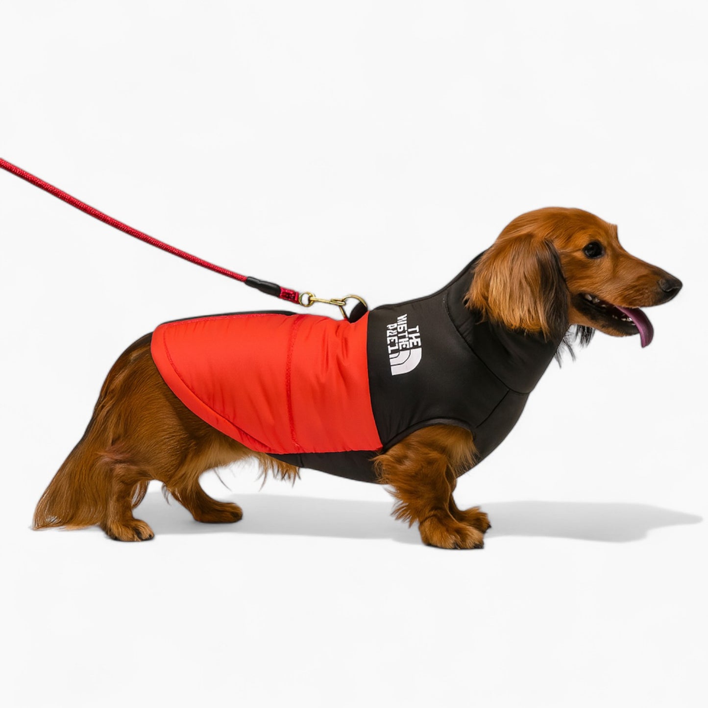 DoxPeak-Dachshund-Puffer-Jacket.jpg
