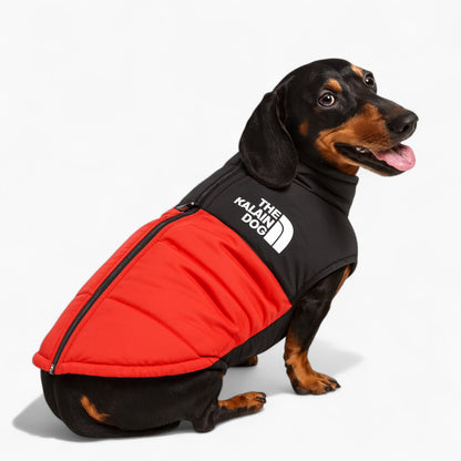 DoxPeak-Dachshund-Puffer-Jacket.jpg