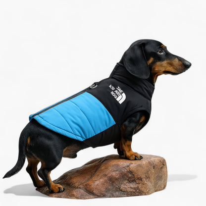 DoxPeak-Dachshund-Puffer-Jacket.jpg