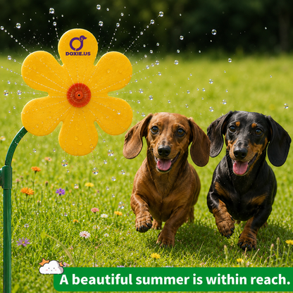DoxSpray-Dachshund-Flower-Daisy-Sprinkler.jpg