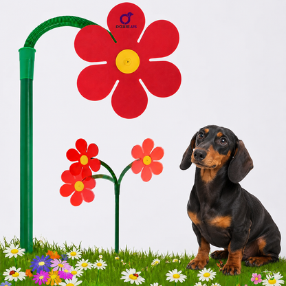 DoxSpray-Dachshund-Flower-Daisy-Sprinkler.jpg