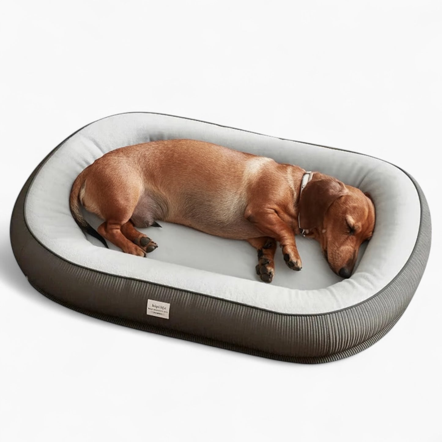 DoxVogue-Dachshund-Luxury-Sofa-Bed.jpg
