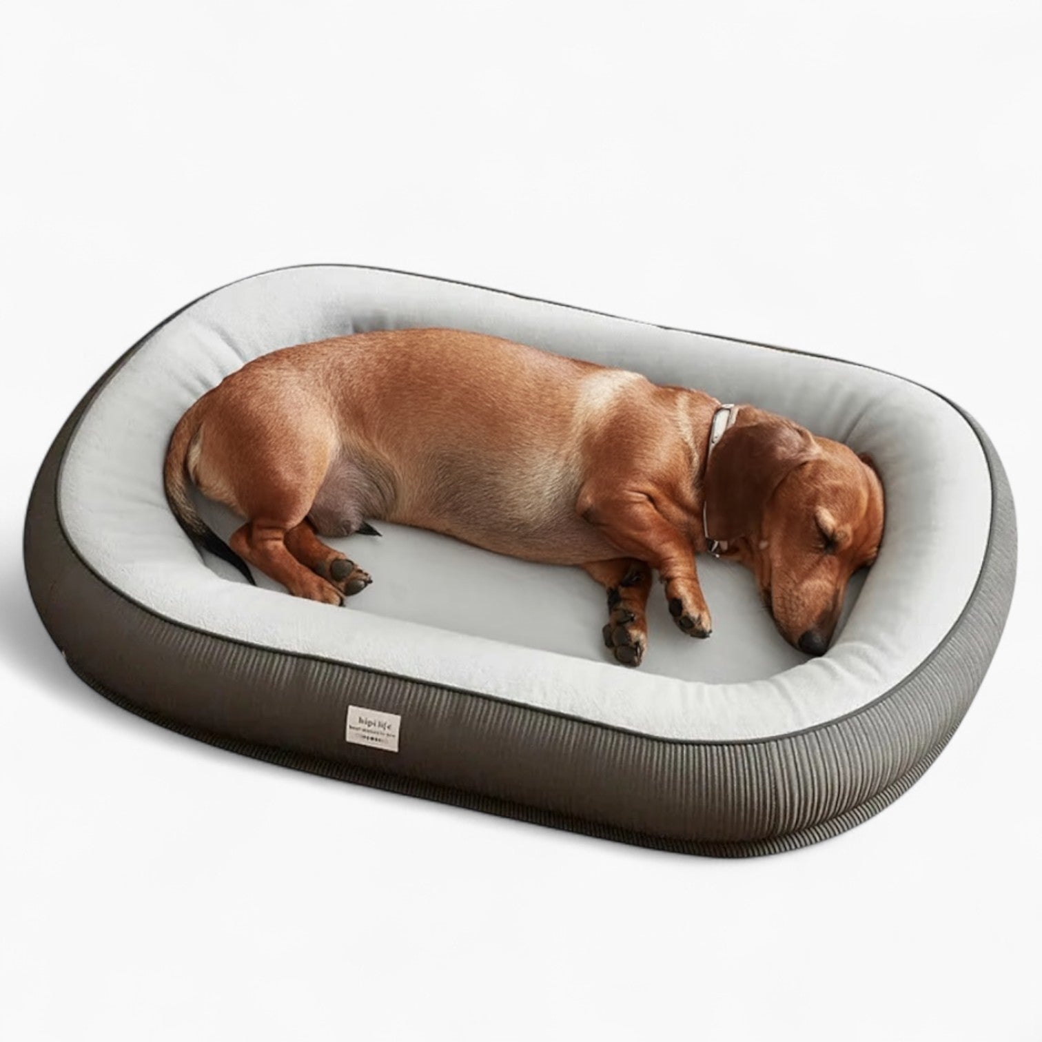 DoxVogue-Dachshund-Luxury-Sofa-Bed.jpg