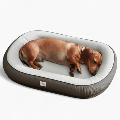 DoxVogue-Dachshund-Luxury-Sofa-Bed.jpg