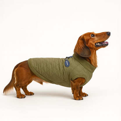 DoxWear-Quilted-Dachshund-Winter-Vest.jpg