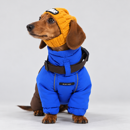 DoxiBean-Dachshund-Winter-Knit-Hat.jpg