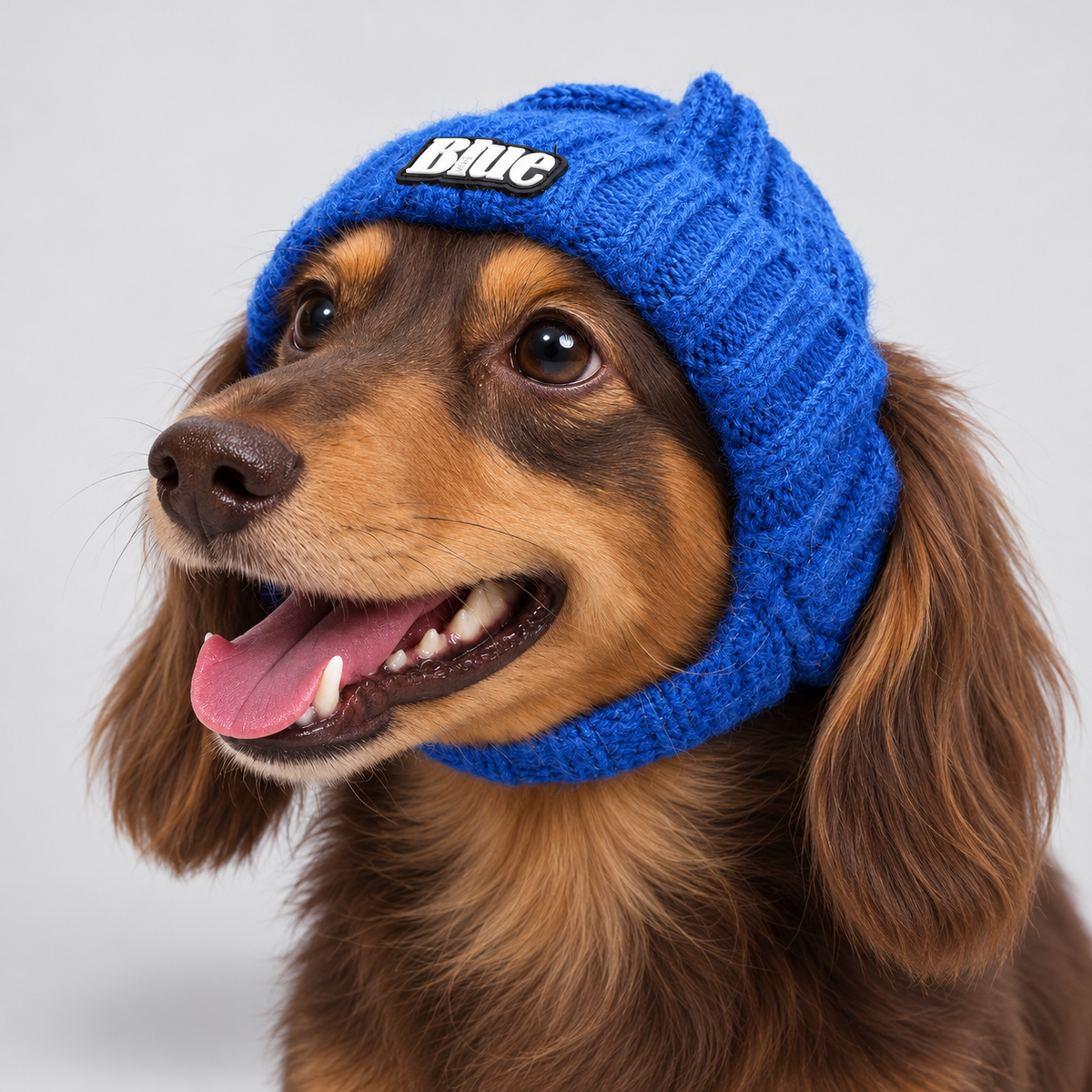 DoxiBean-Dachshund-Winter-Knit-Hat.jpg