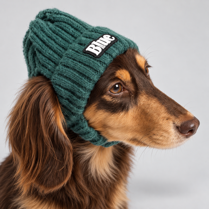 DoxiBean-Dachshund-Winter-Knit-Hat.jpg