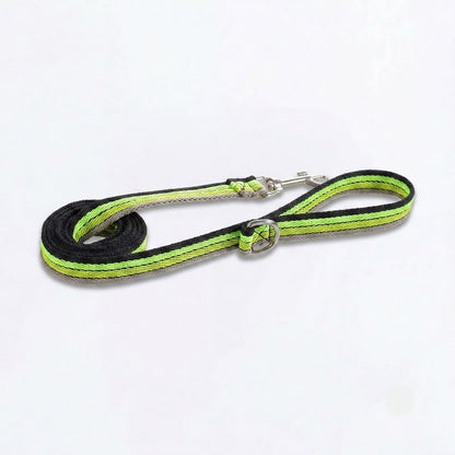 DoxiBloom-Dachshund-Harness-Leash-Set.jpg