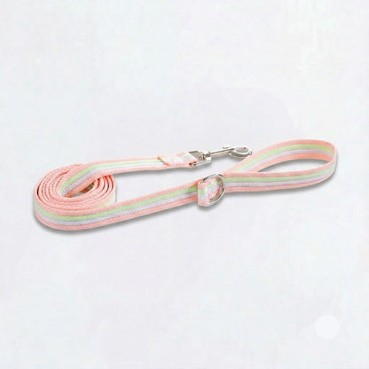 DoxiBloom-Dachshund-Harness-Leash-Set.jpg