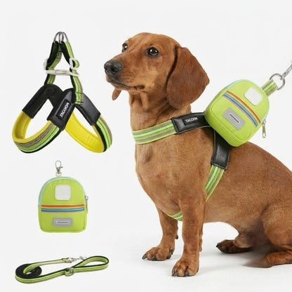 DoxiBloom-Dachshund-Harness-Leash-Set.jpg