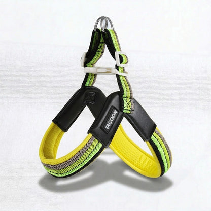 DoxiBloom-Dachshund-Harness-Leash-Set.jpg