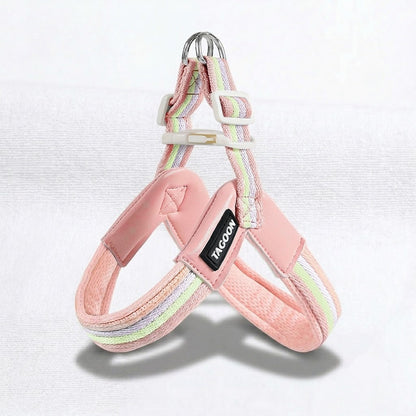 DoxiBloom-Dachshund-Harness-Leash-Set.jpg
