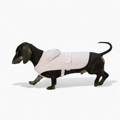 DoxiCape-Dachshund-Hooded-Bichon.jpg