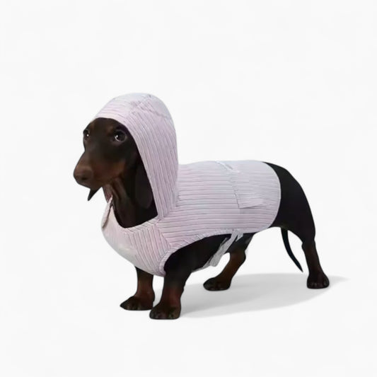 DoxiCape-Dachshund-Hooded-Bichon.jpg